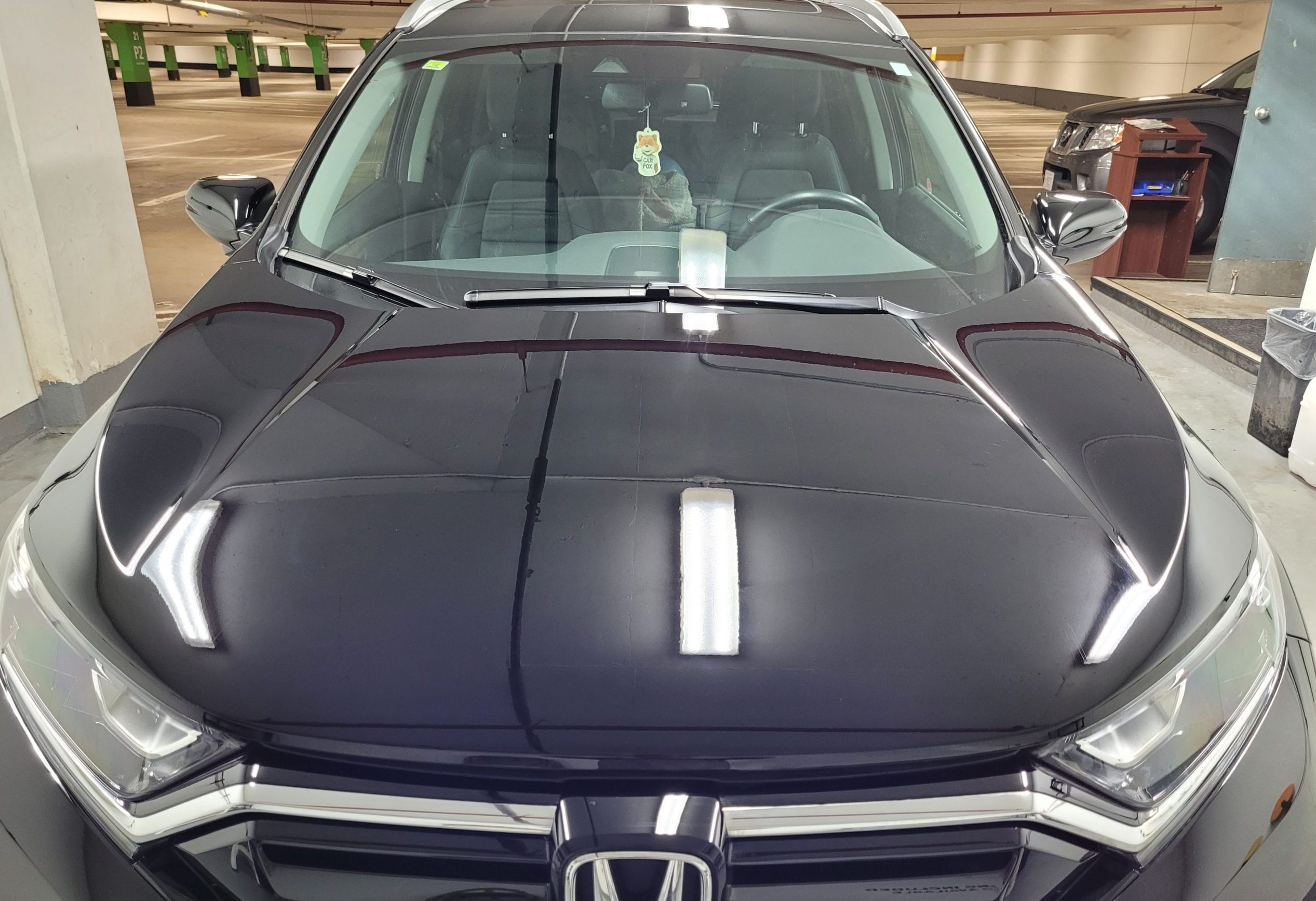 Auto Groom - Pipe Drip After