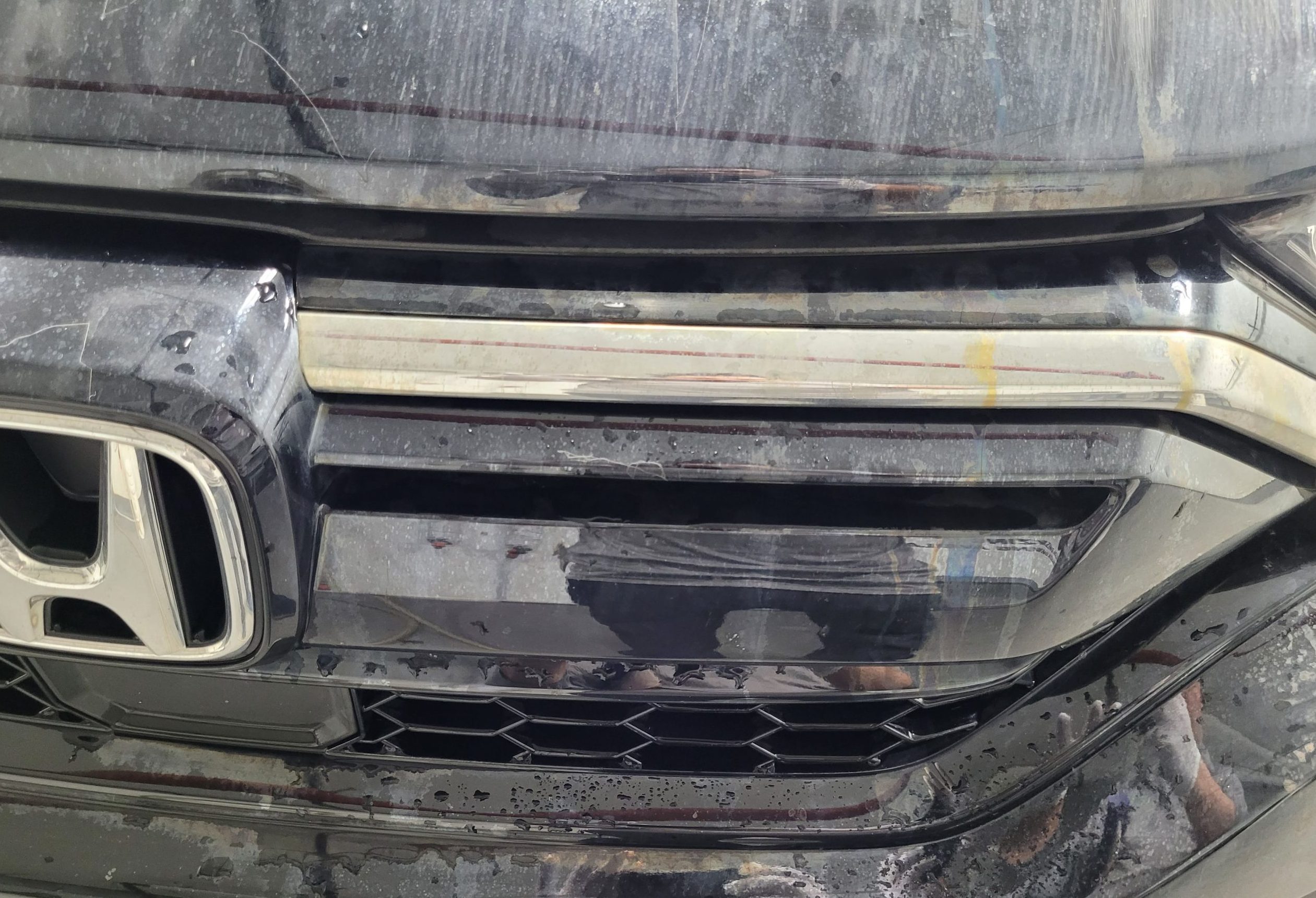 Auto Groom - Pipe Drip Before