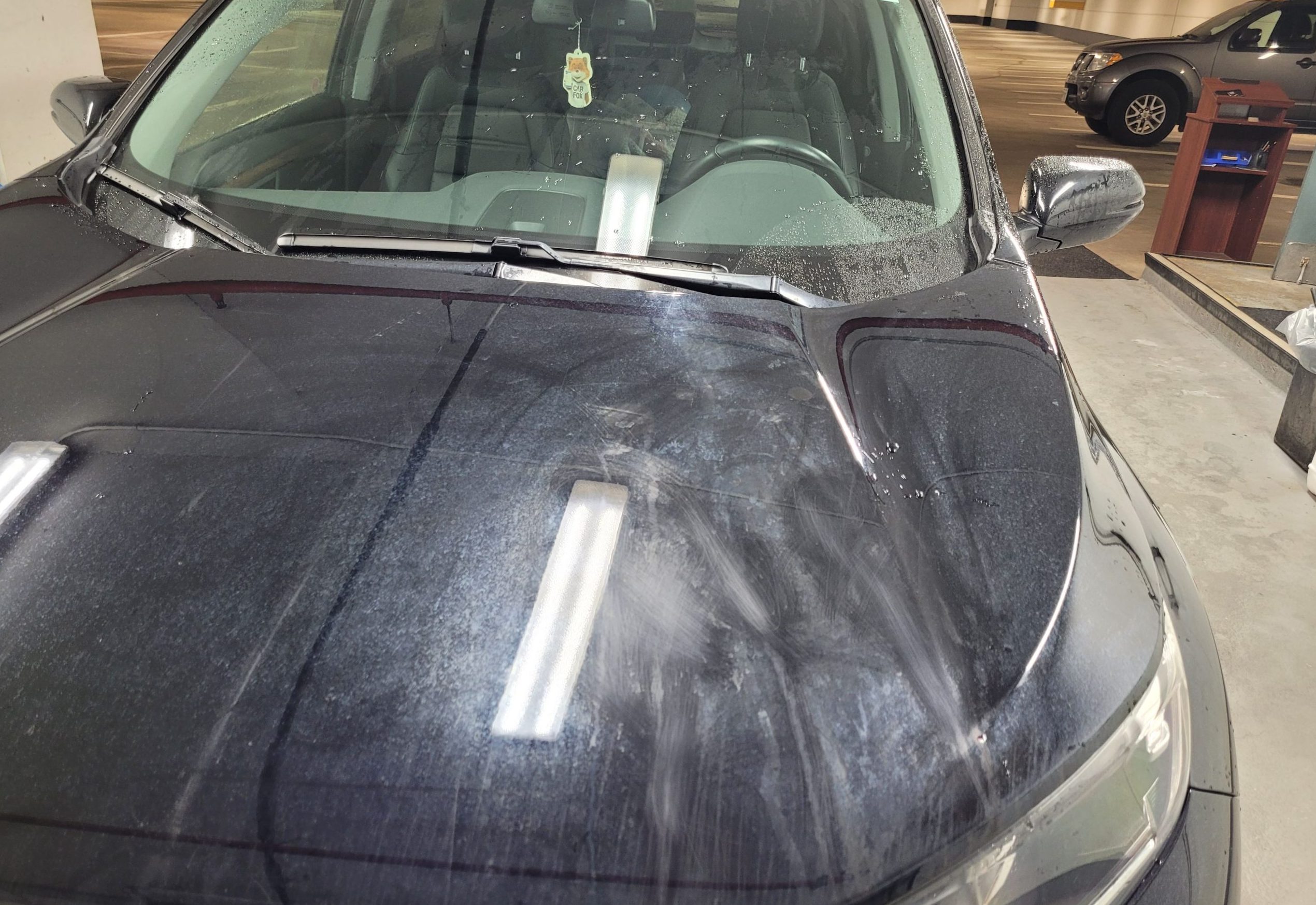 Auto Groom - Pipe Drip Before